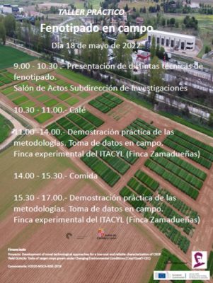 Crop Phenotyping in field conditions